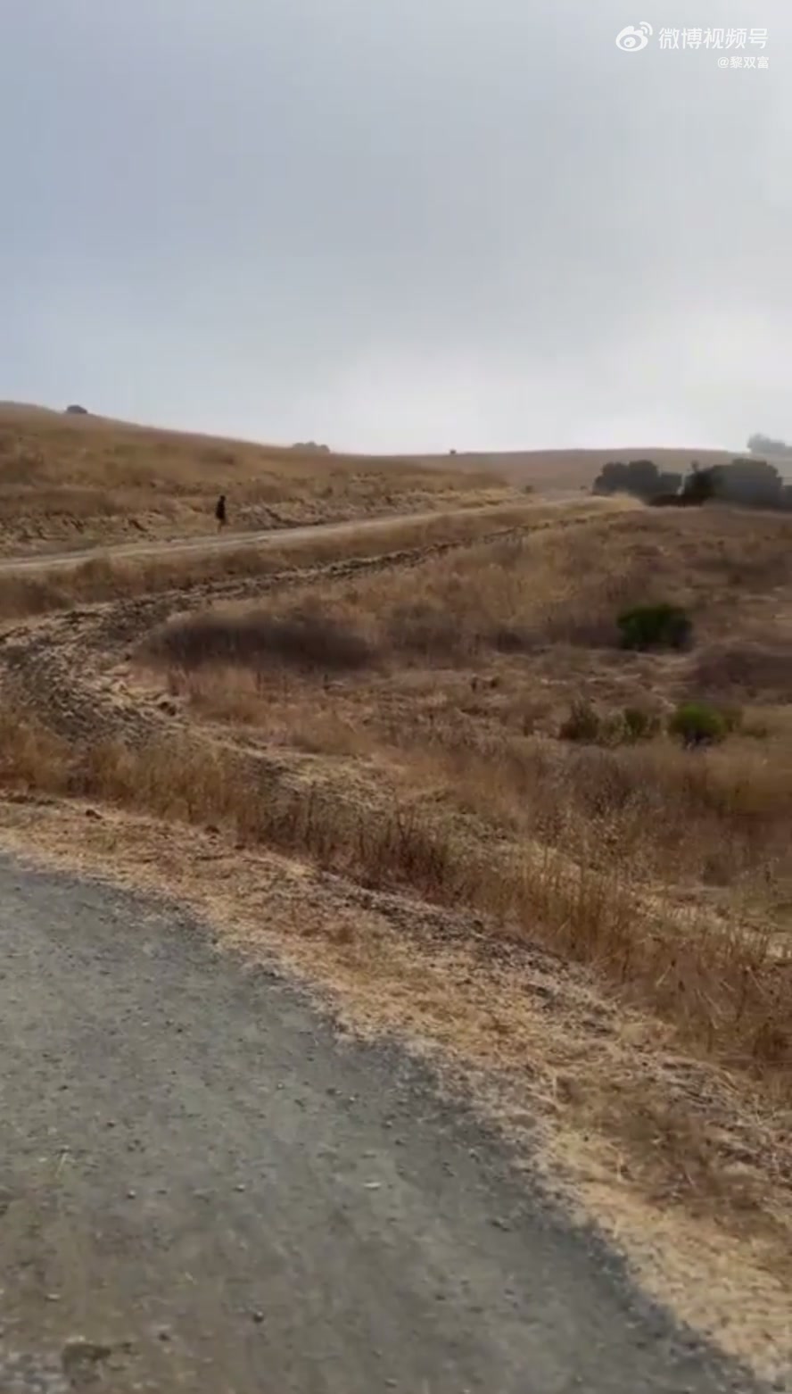 连库里都选择去户外进行轻越野训练 吧友们你们还不赶紧跑起来