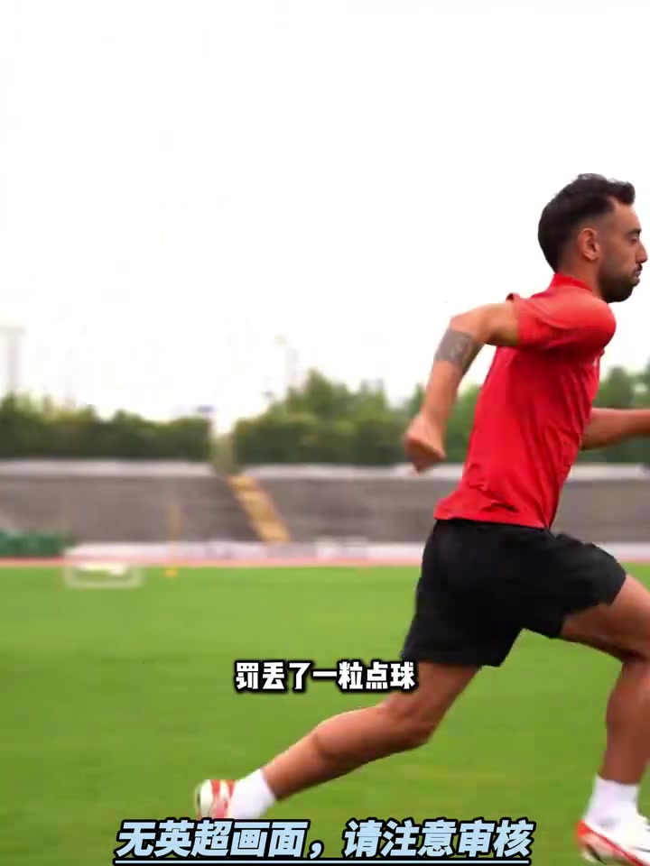 有道理吗阿什利扬B费点球被主裁干扰了