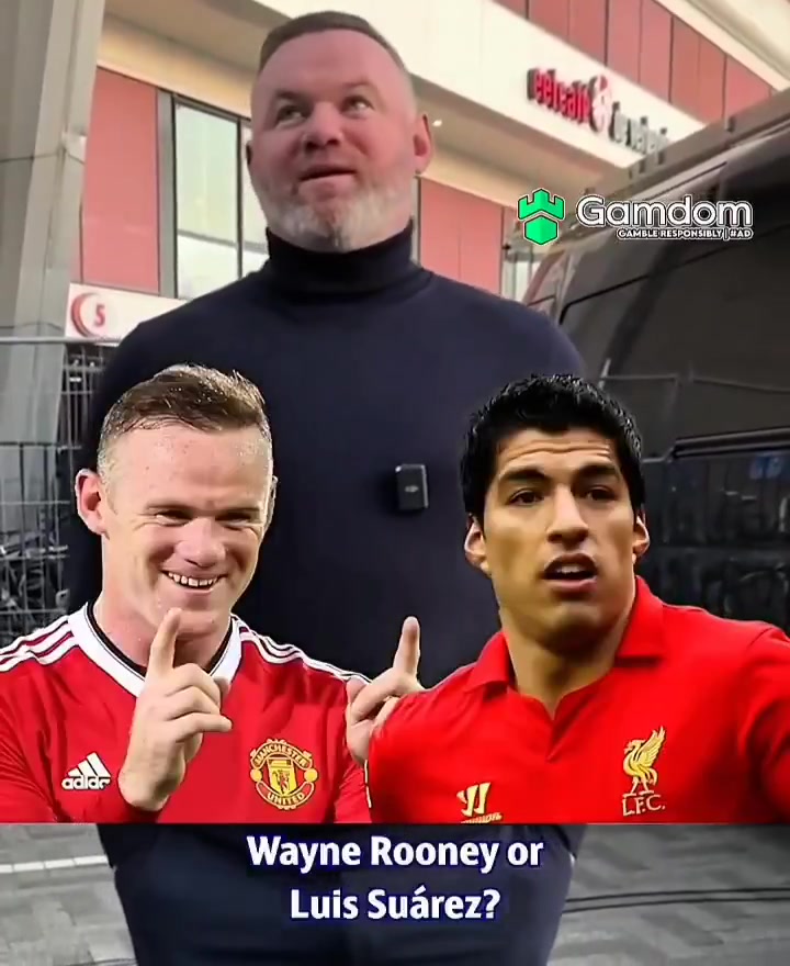 鲁尼我苏牙莱万内马尔凯恩阿奎罗和伊布